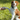 Paw Soother travel stick 4.50 mL