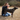 Soothing Itchy Dog Spritz 236 mL